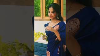 ഹപപ വഷ -Panicker