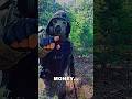 Where’s my money at 🤨 #maskedcosplayer #stalker2 #cosplay #memes