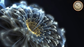 سورة الفاتحة و سورة المعارج