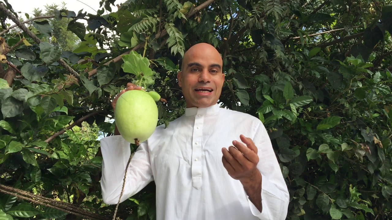 A Yogic Super Food For Digestive Health And Weight Loss | Dr Avanish