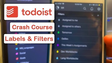 Todoist Crash Course: Filters and Labels