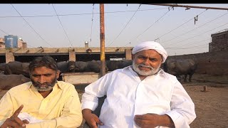 Great Billu Gujjar Interview || Shoq ho to aisa