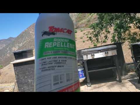 Product Review: Tomcat Rodent Repellent