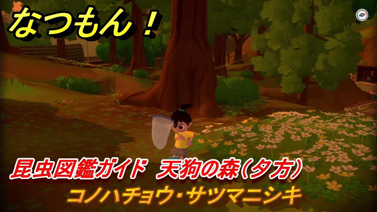 夏休み　黄金のかぶと虫をさがして　PCゲーム　マッキントッシュ　マンゴスチン Interactive | 泉原昭人| Studio Mangosteen