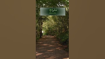 القارئ مالك الزامل#اكسبلور#قرآن #لايك #إستمع #ترتيل #خشوع