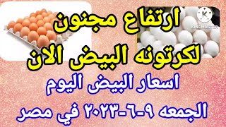 سعر البيض اسعار البيض اليوم الجمعه ٩-٦-٢٠٢٣ في الشركات في مصر