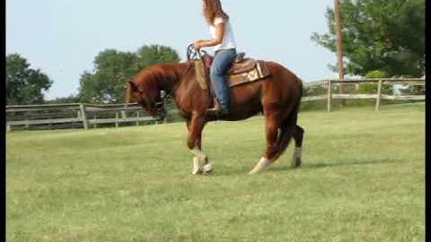 Uno Gunolena    ***For up-to-date info, price, etc., go to our website***