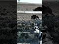 Esperei, Mirei o Javali Saiu e Um Tiro Só Derrubou!#cacaaojavali#hunters #javali#chasse#viral