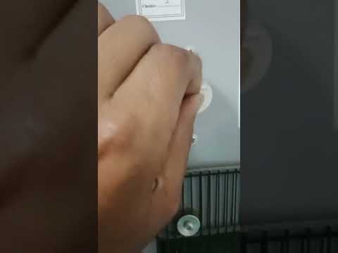 حل مشكلة عدم فصل المبرد وايت بوينت وضبط درجة الحرارة والتبريد 