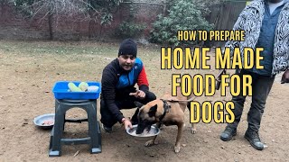 Best Home made diet for dogs ( kutte ke liye sabse Acha ghar ka khana)