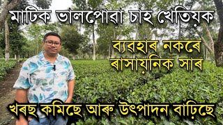ৰাসায়নিক সাৰ ব‍্যৱহাৰ নকৰা চাহ খেতিয়ক।Bahuboli Thondhora। Thondhora in Tea ।Organic Tea Fertilizer 