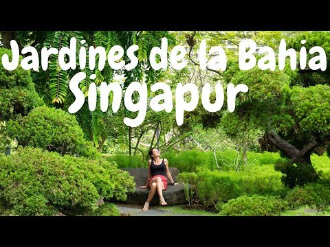Video: Jardines de Singapur por la bahía