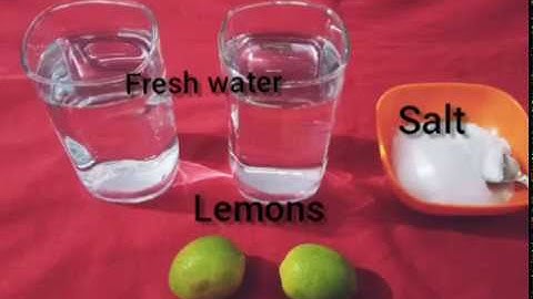 Density Experiment, Lemon Salt Water, Experiment for Kids, Learning, Experiment at Home