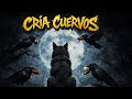Polanko, Mihai0105 - Cuarto Mundo