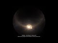 Supernova Explosión – ( Simulación por Ordenador) - 08 FEBRERO 2020