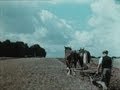 English harvest 1938