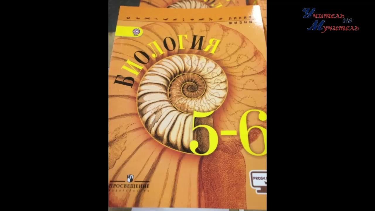 Биология 6 класс учебник страницы. Учебник. Бактерии, грибы, растения. Учебник по ботанике 6 класс пономарева. Биология 6 класс рабочая тетрадь пасечник.