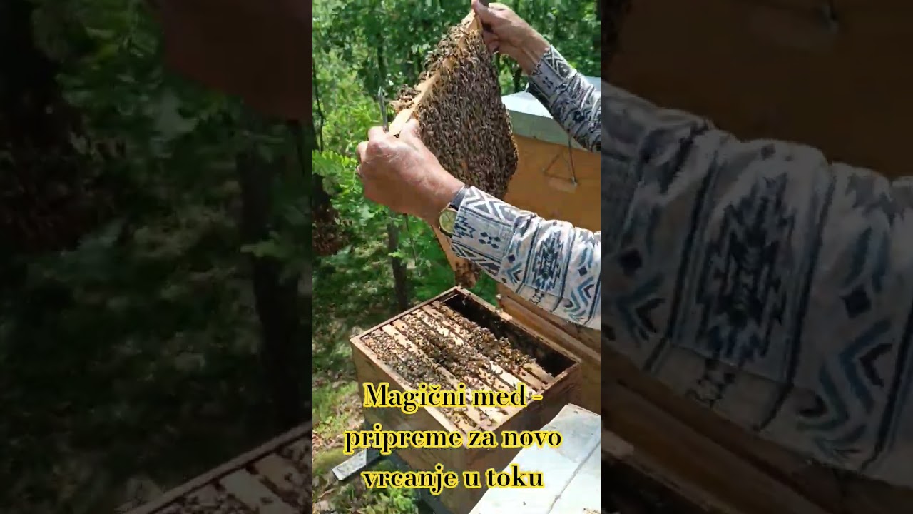 Magični med - pripreme za novo vrcanje meda #mandrakstudio #med #pčelarstvo #mandrakpromo
