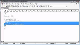 Beginner PHP Tutorial - 19 of 200 - if _ else if Statement  (www.dynamicwebart.com)