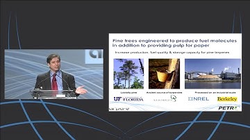 Bioenergy: ARPA-E Existing Programs and Future Directions