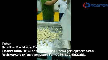 New Type Peeled Garlic Clove Color Sorting Machine for Sale