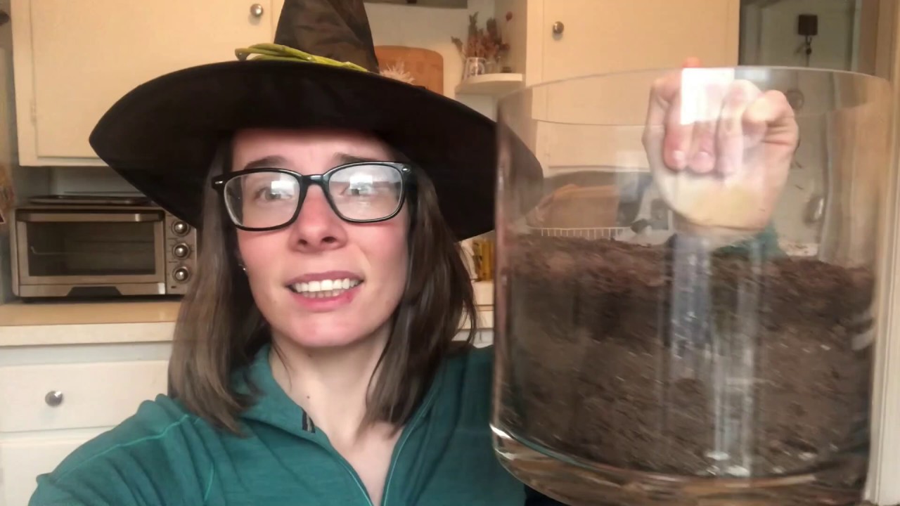 Make a Moss Terrarium with the Nature Center - YouTube