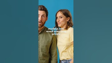 Is Your Boss Narcissistic? [Strategy of Narcissism at Work]