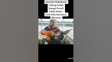 Rekod Peribadi Udang Galah TERBESAR Teluk Intan 2021