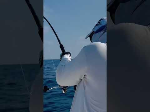 Потрясающий морской тур на Мальдивах! Рыбалка на Мальдивах с Михаилом Карповичем #shorts