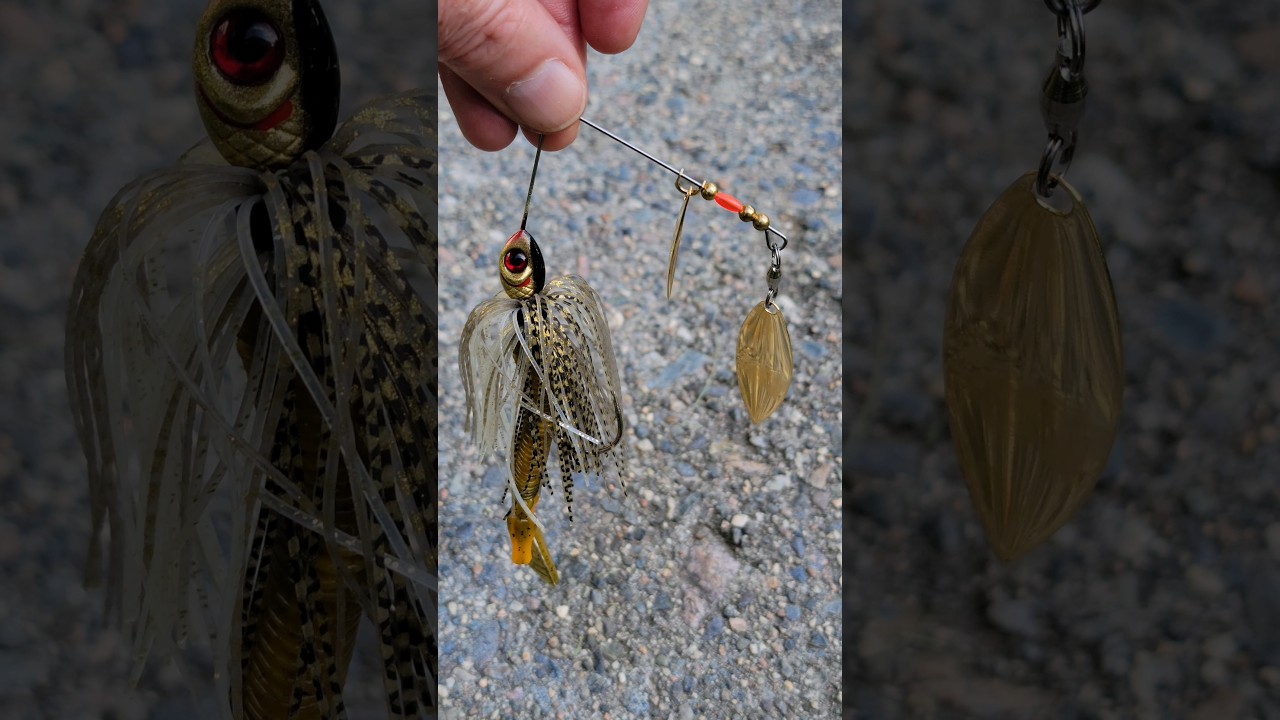 Booyah Bait Co. Booyah Blade in Gold Shiner and Missle Baits Baby D Bomb in Dessert Storm