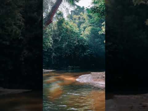 Wu Hui Zhe Yi Sheng (无悔这一生) - TIADA PENYESALAN DALAM HIDUP INI