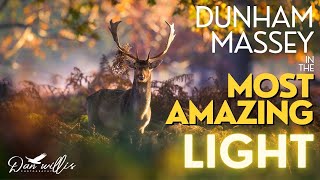 Dunham Massey in the MOST AMAZING LIGHT!