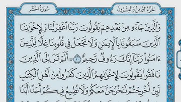صلاح باعثمان سورة الحشر