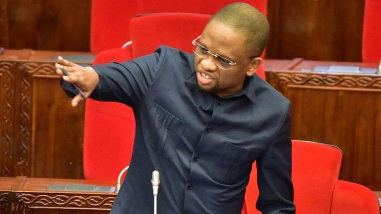 Kwa Mara ya kwanza Mbunge Mwana FA Azungumza Bungeni. - YouTube