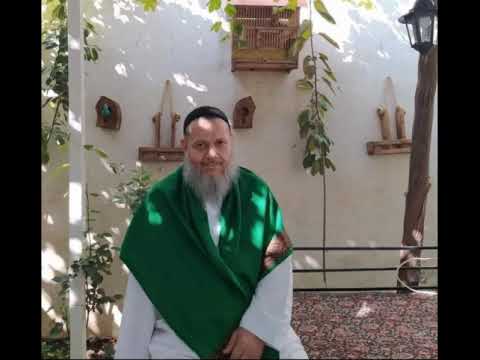 وحدة الوجود العرفانية لا تنفي الكثرة الحقيقية السيد كمال الحيدري