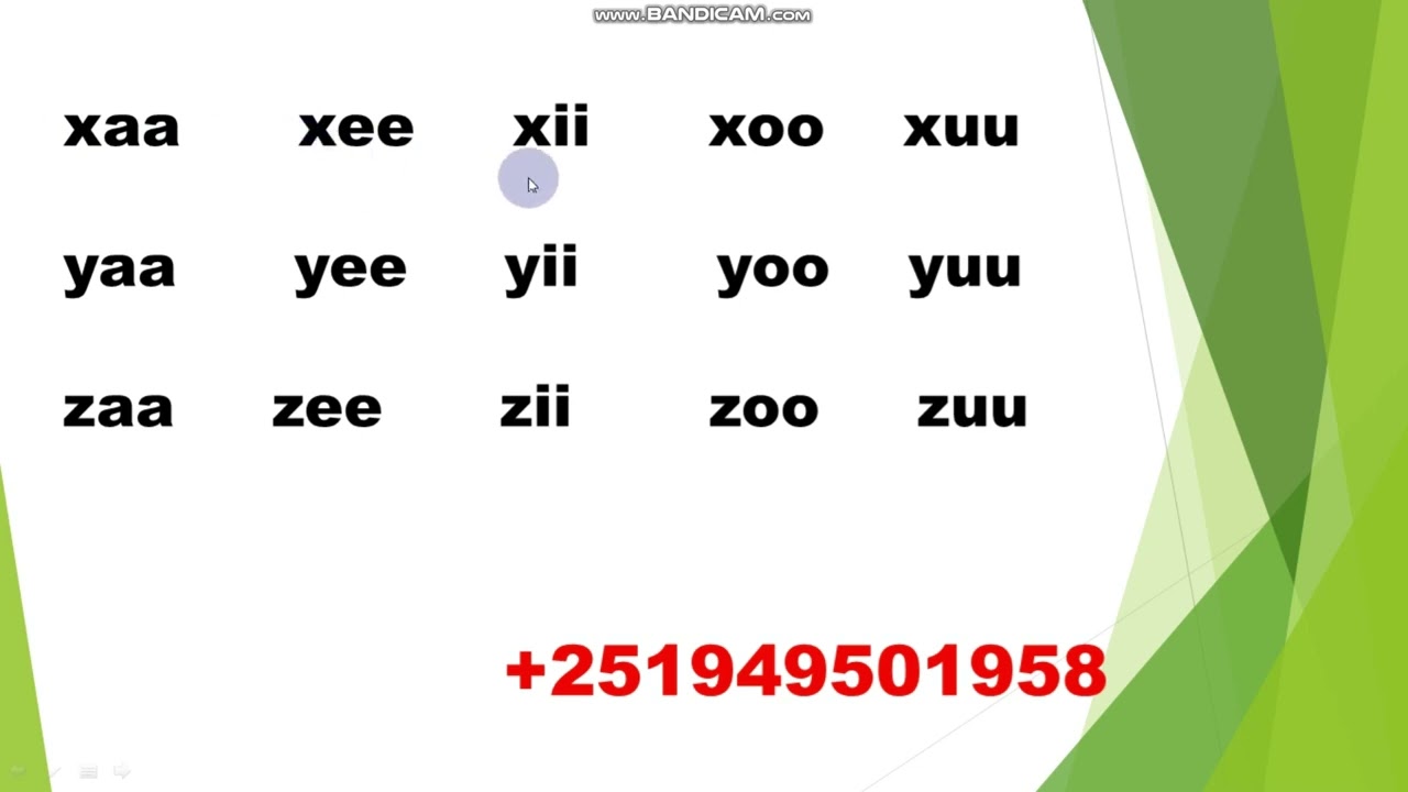 Barnoota Afaan Oromoo Sagalee Dheeraa...