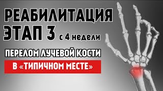 картинка: Полный протокол реабилитации. Разработка ЛУЧЕЗАПЯСТНОГО СУСТАВА. Перелом «в типичном месте». ЭТАП 3