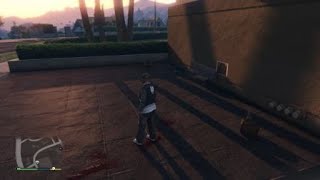 GTA Police Have No Chill