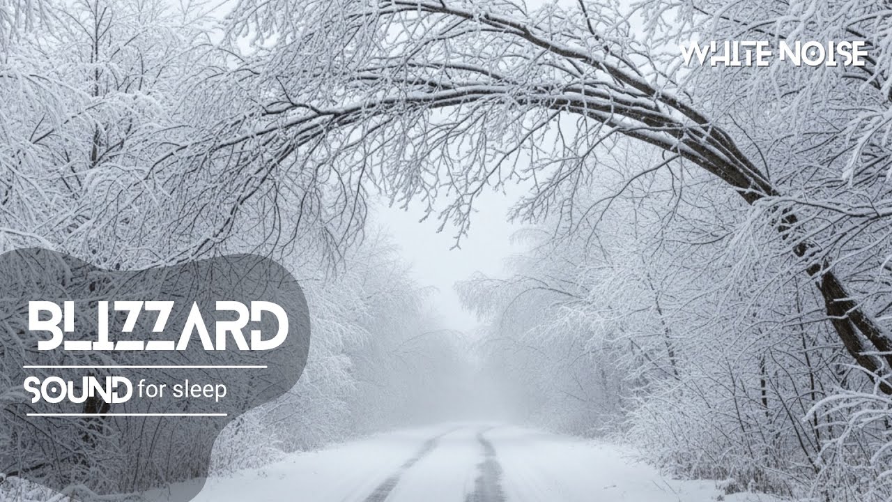 Winter Blizzard Ambience | Snowstorm & Howling Wind for Relaxation ...