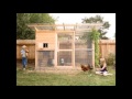 Poultry House Designs Plans - How To Build A Chicken Coop And Run Step By Step Poultry House Designs Plans - How To Build A Chicken Coop And Run Step By Step