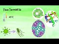 Resultados de Experiencia formadora-Biotecnología
