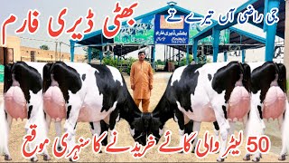 Bhatti Dairy Farm | Top class 50 litter milker cows | Best cows ever 