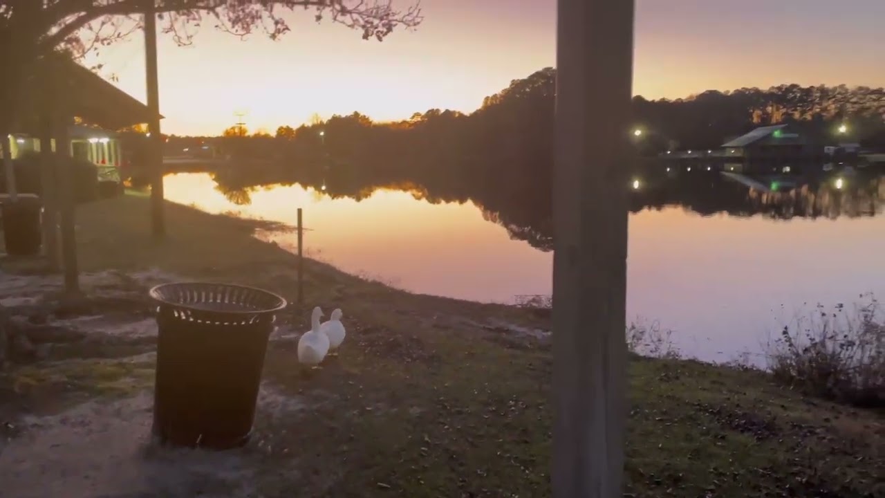 Metter, Georgia, USA|| Evening beauty 