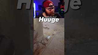 Can You Shoot Matriarch Flashes?