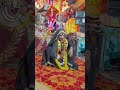 Jai Maa kaali 🙏🏻 Jai maa Masani 🙏🏻 Jai Kaali Kolkata vali #jagrata Jai maayi Jai maayi Jai maayi 💖🙏🏻