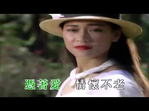 憑著愛 - 潘源良歌詞 - 粵語KTV