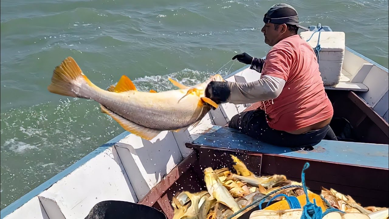 O MAR estava agitado, Pesca de Espinhel em Alto Mar. VEJAM!