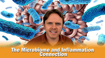 The Microbiome and Inflammation Connection!