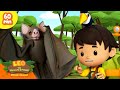 Scary animals vampire bats  more  leo the wildlife ranger  kids cartoons