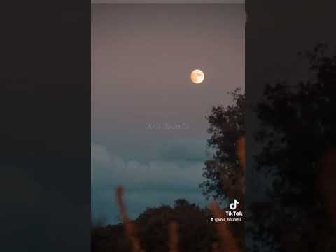 My Best Photos In 2021 Photography Algerie Shorts Photo Creative Artist Annaba 2022 